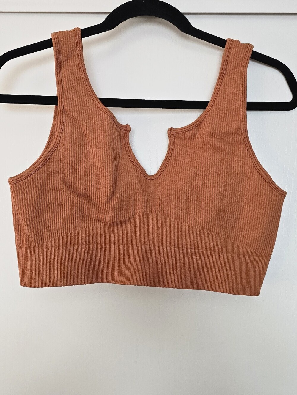 Burnt Seamless Notch Neck Ribbed Crop Top